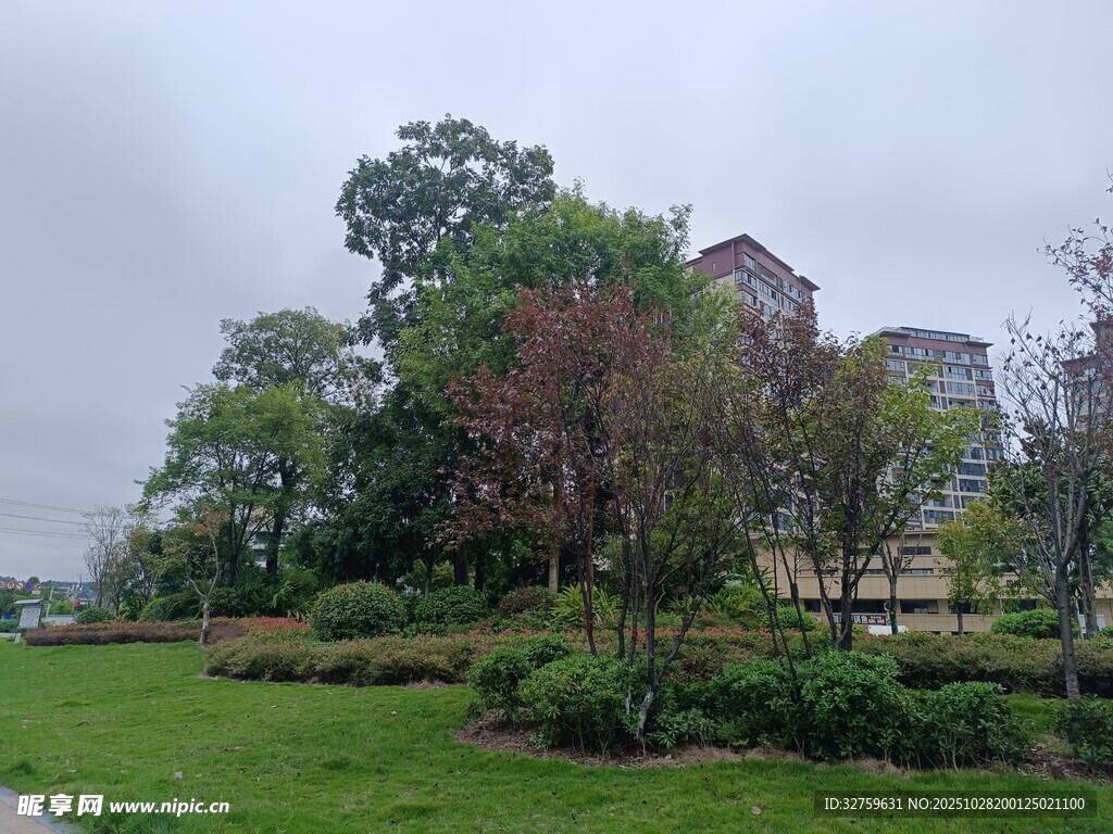 绿意盎然的户外景观