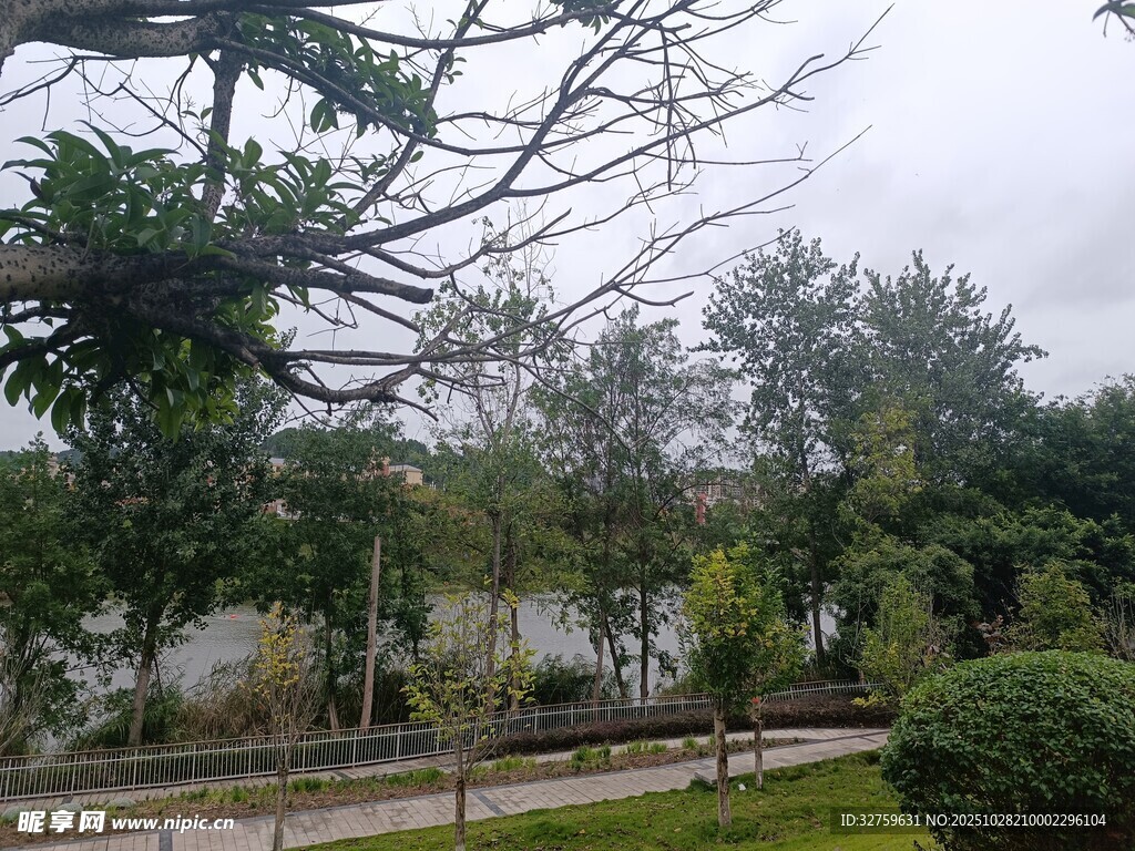 户外静谧绿植景观