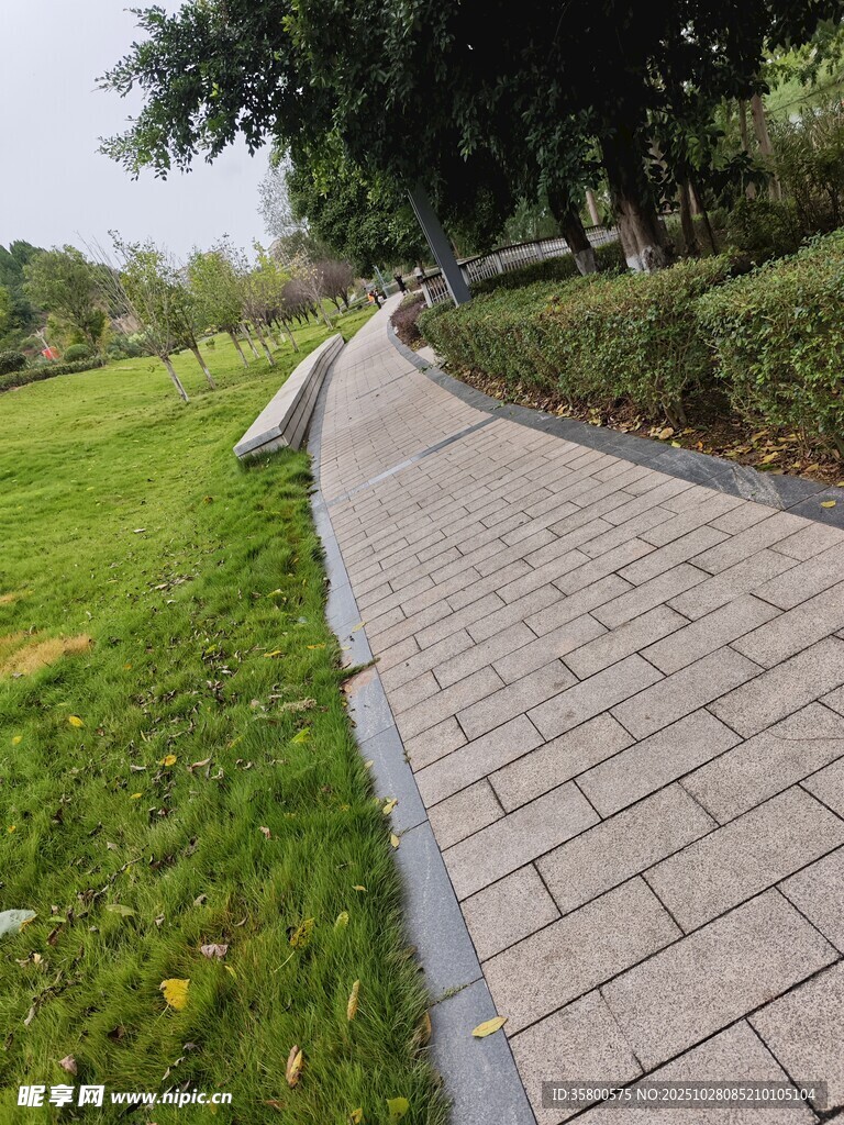 公园中的砖石铺就小径