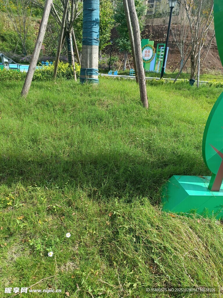 户外绿色草坪游乐设施场景