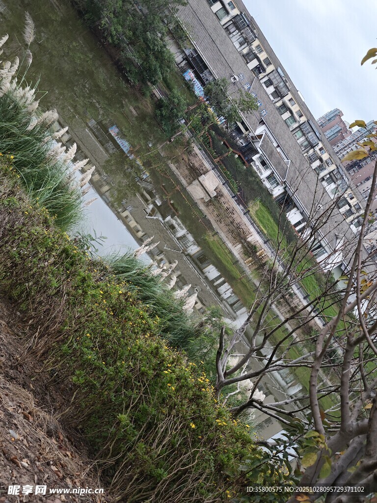 俯瞰城市边缘的建筑与绿植