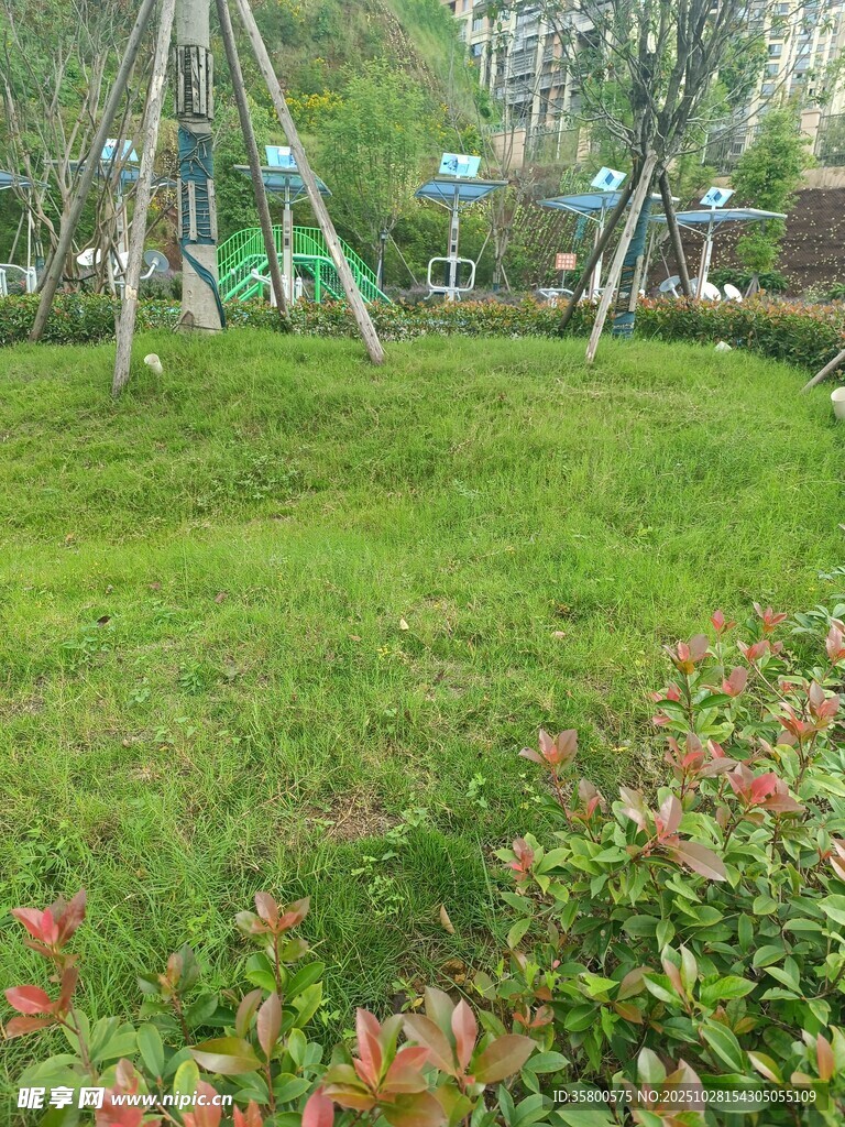 公园绿意盎然的休闲场景