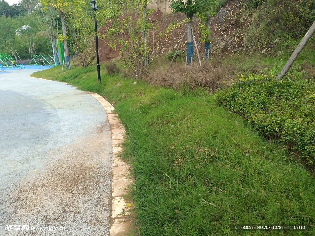 蜿蜒路边绿意盎然