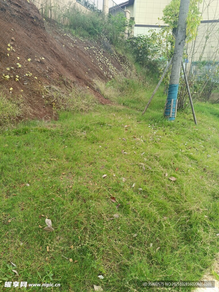 户外草地与斜坡景观