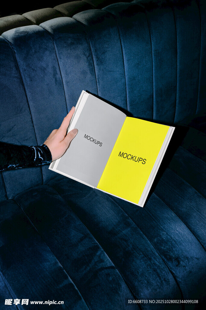 手持黄页于深蓝沙发上