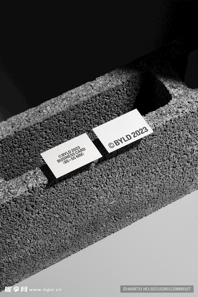 两个芯片置于黑色盒中