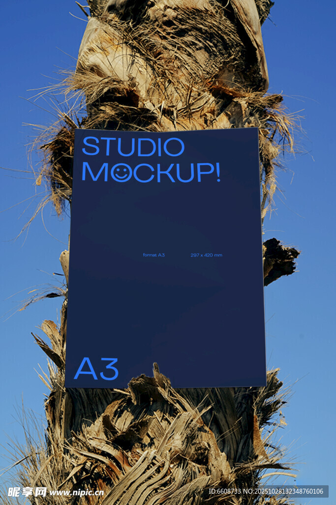 蓝色Studio书籍展示