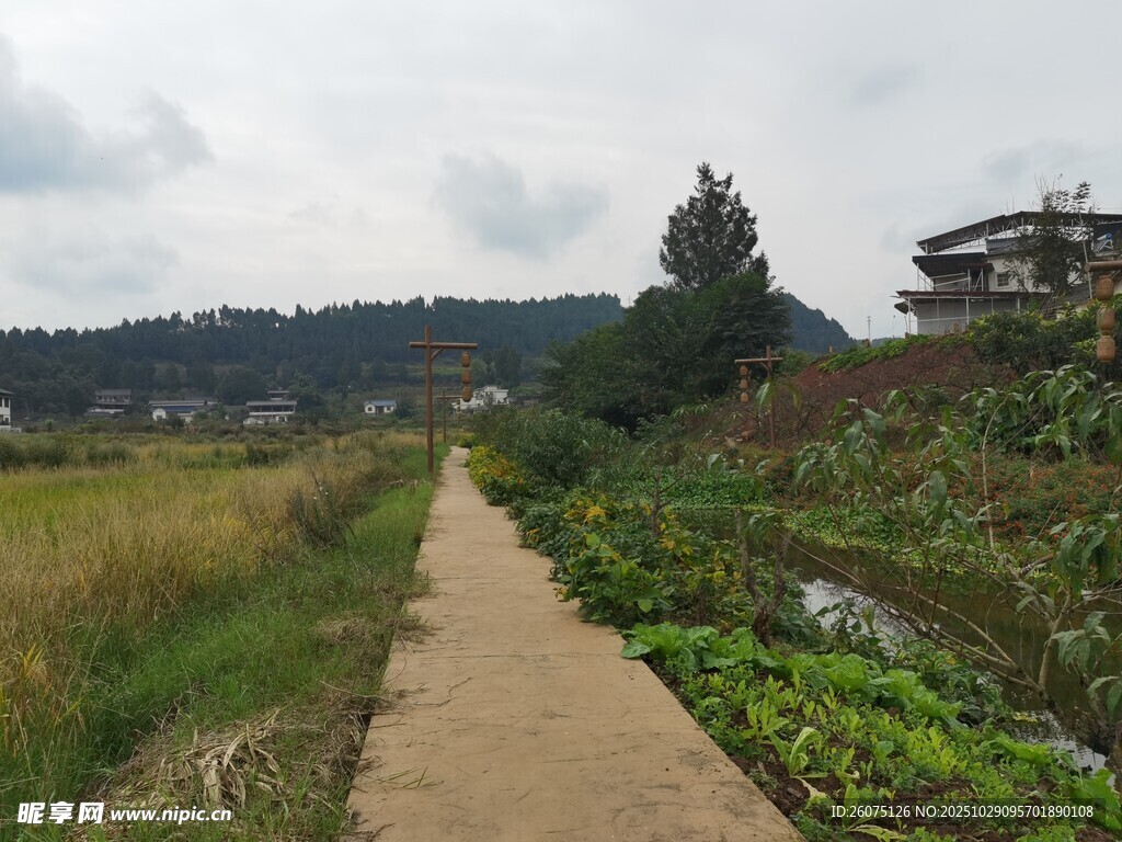 乡间小径田园风光美景