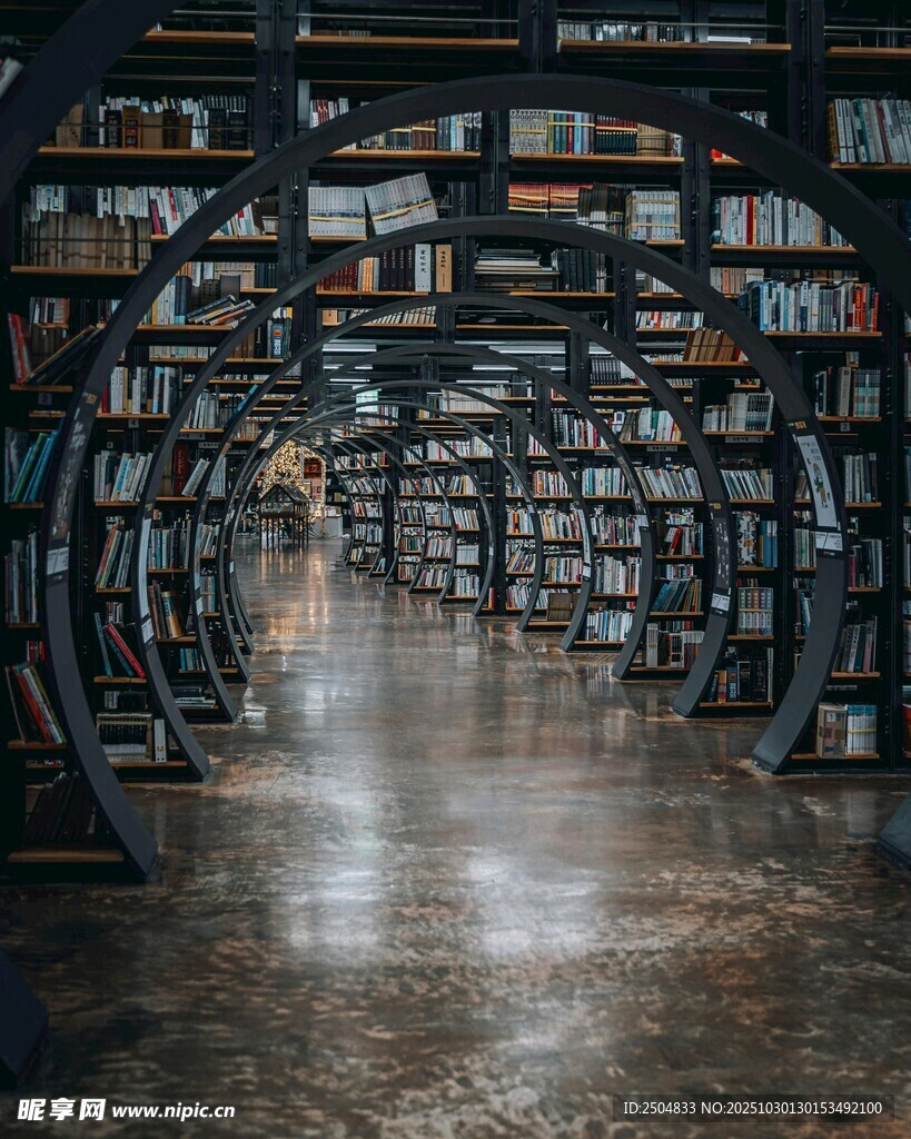 梦幻图书馆的知识长廊