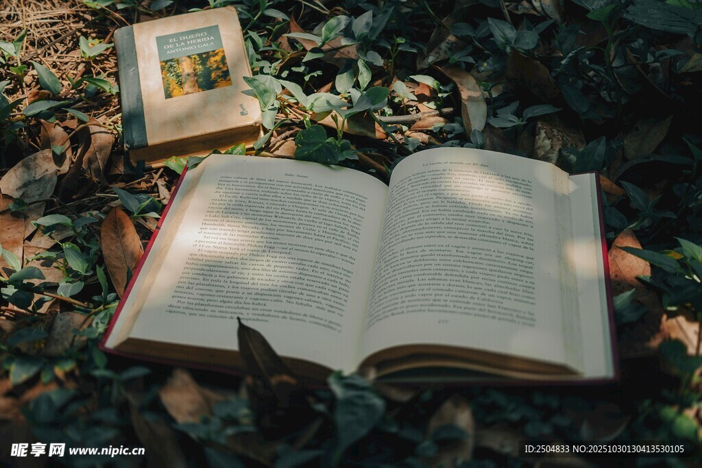 户外翻开的书与相框