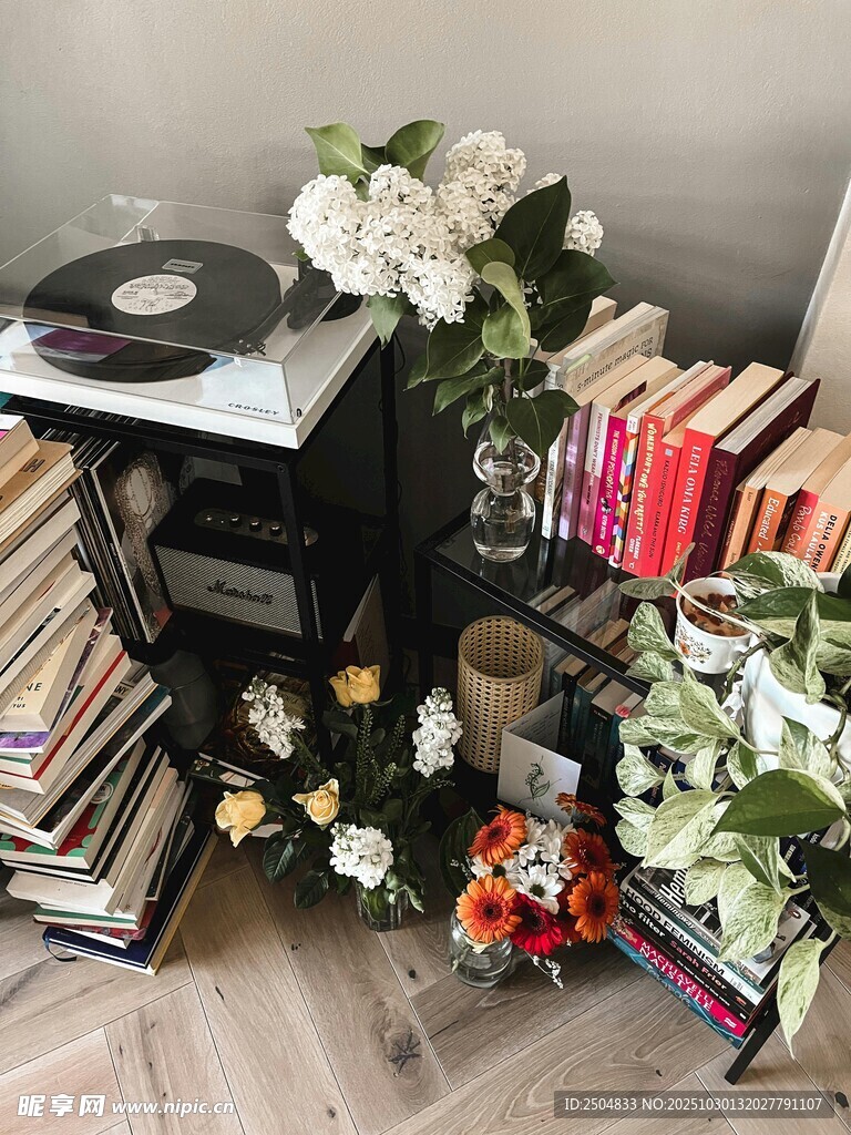 复古唱片与书籍绿植场景
