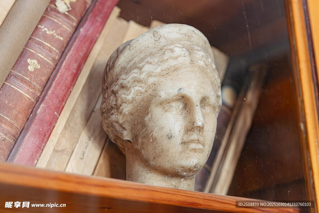 书架上的古典雕塑头像