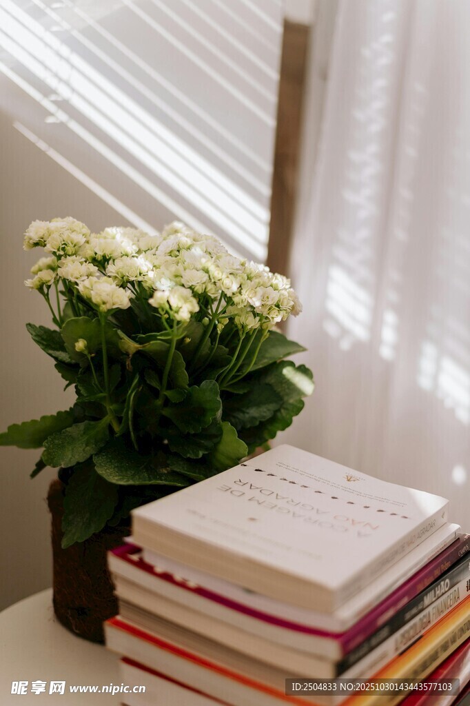 鲜花与书籍的温馨角落