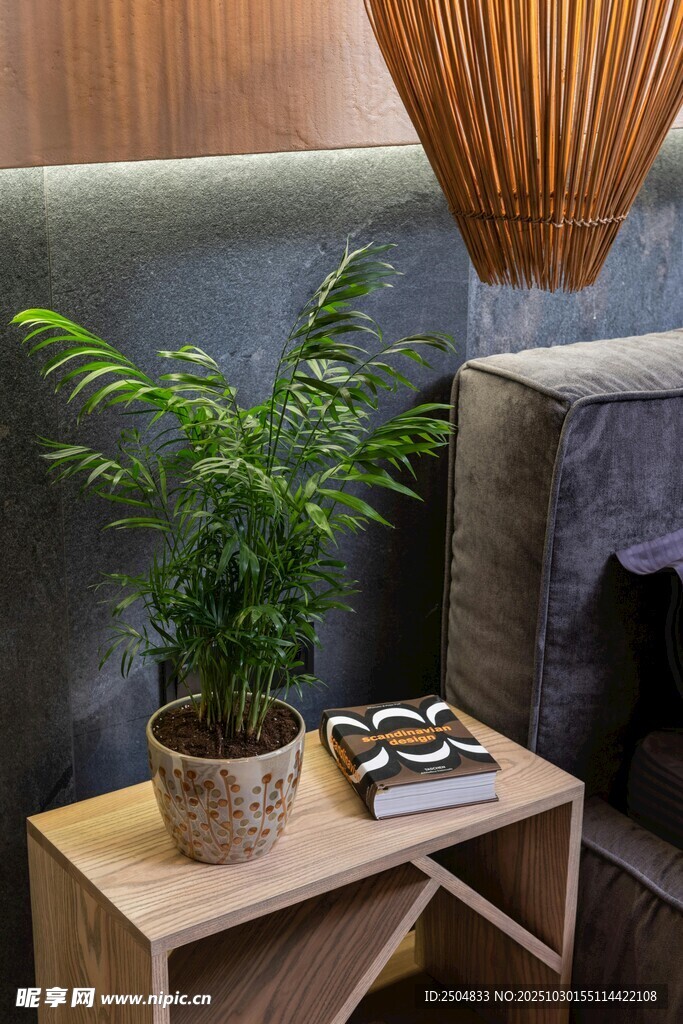木质边几上的绿植小景