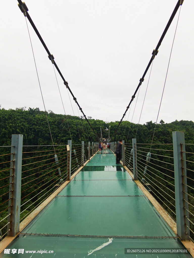 悬索桥上的绿色玻璃桥