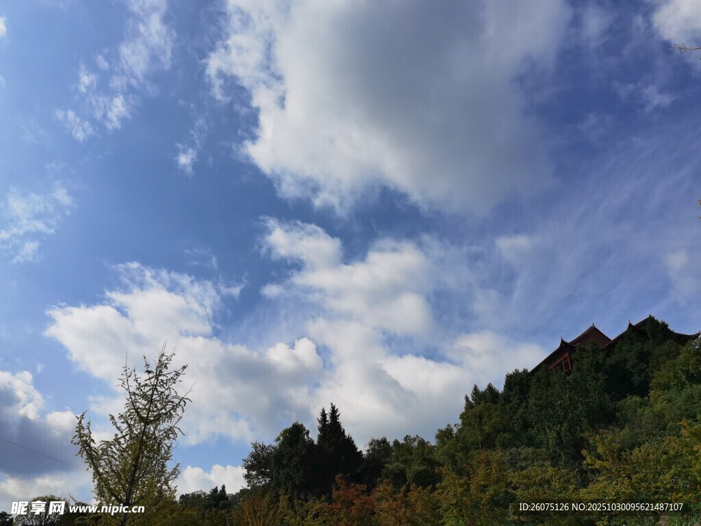 蓝天白云下的葱郁山林