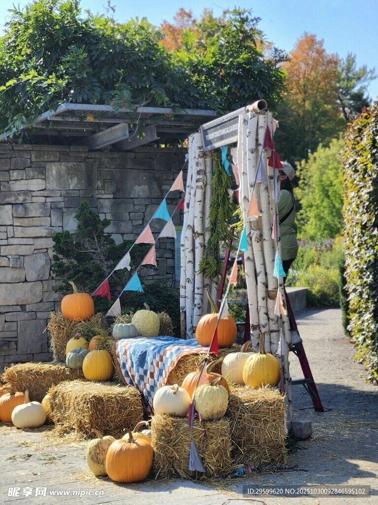 秋季户外南瓜装饰场景