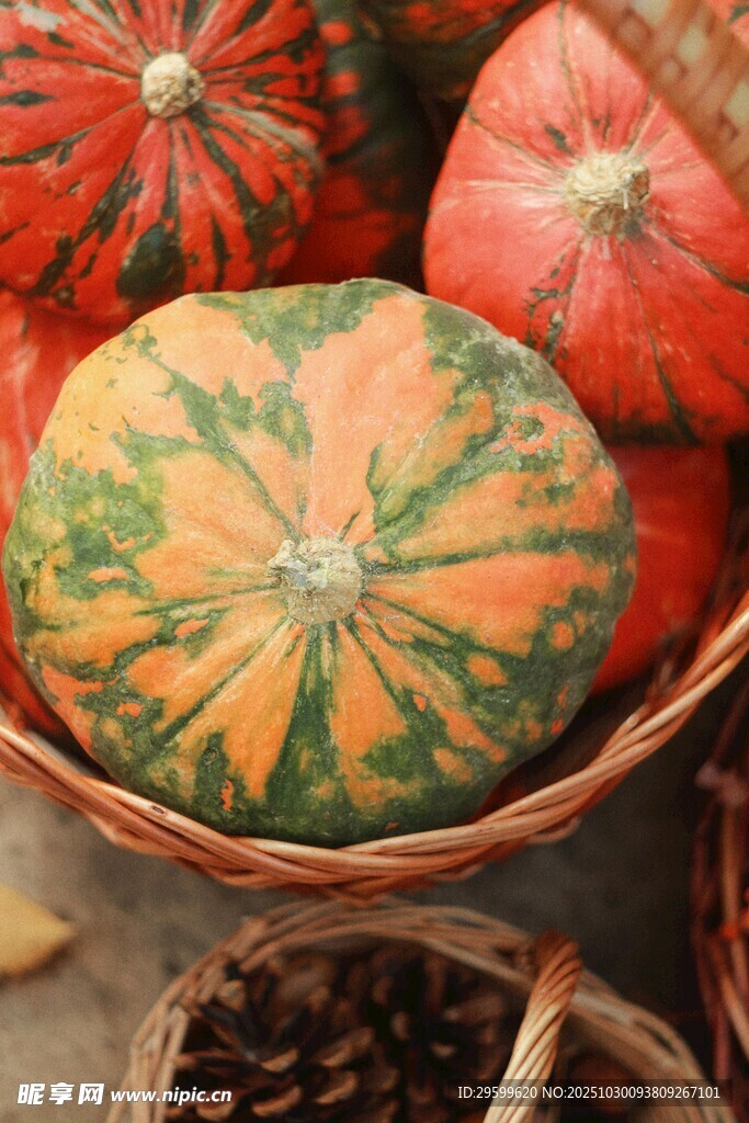 多彩南瓜置于篮中