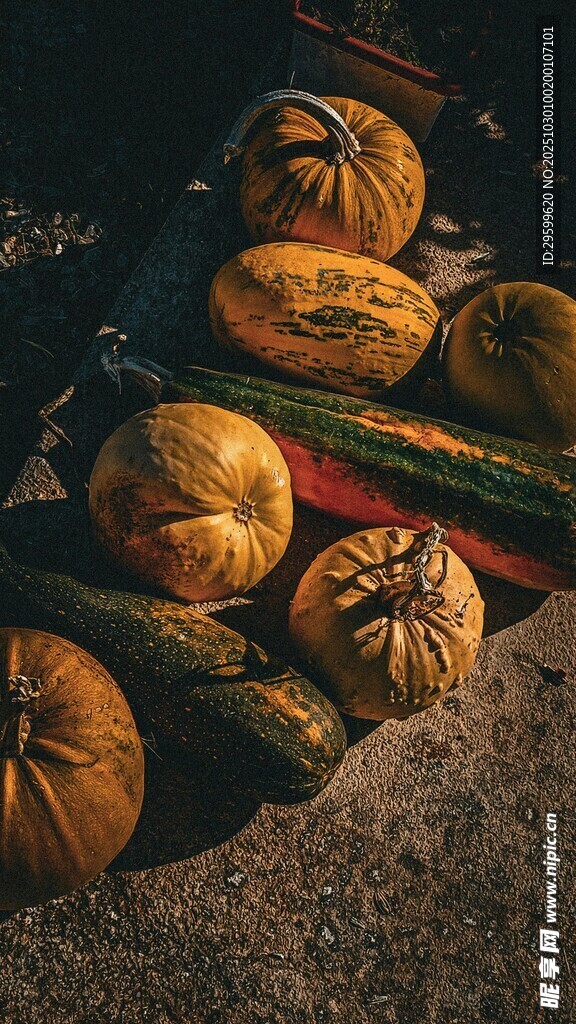 多彩南瓜堆放在地面上
