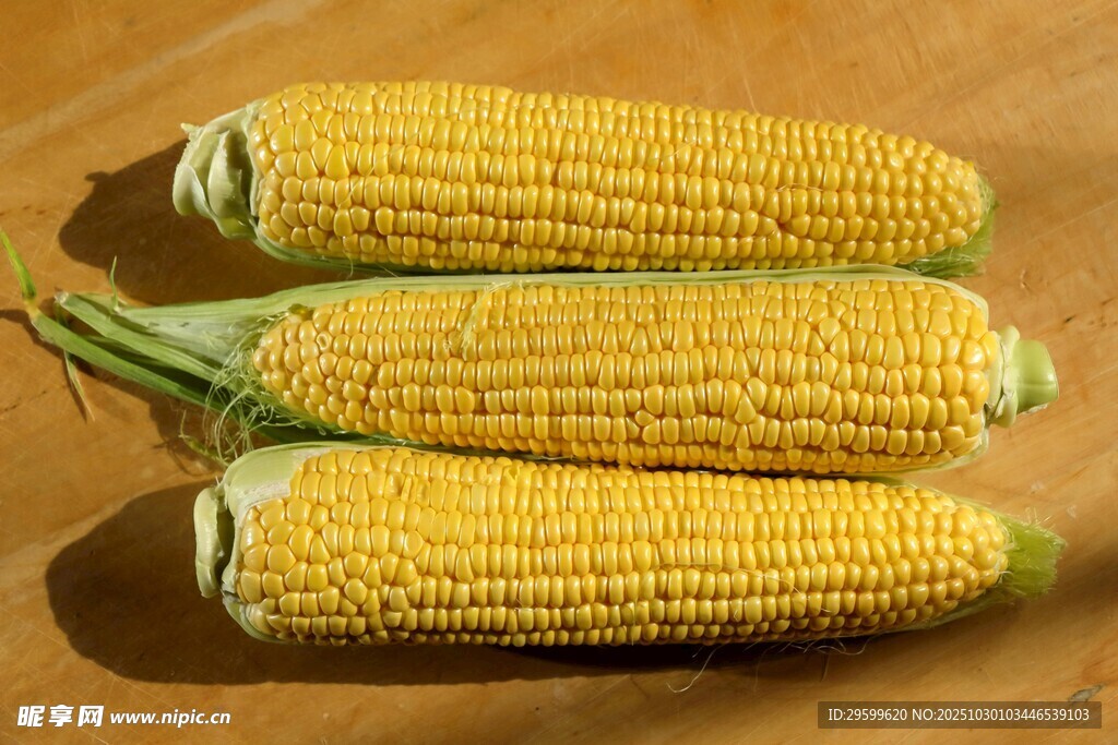新鲜玉米棒展示