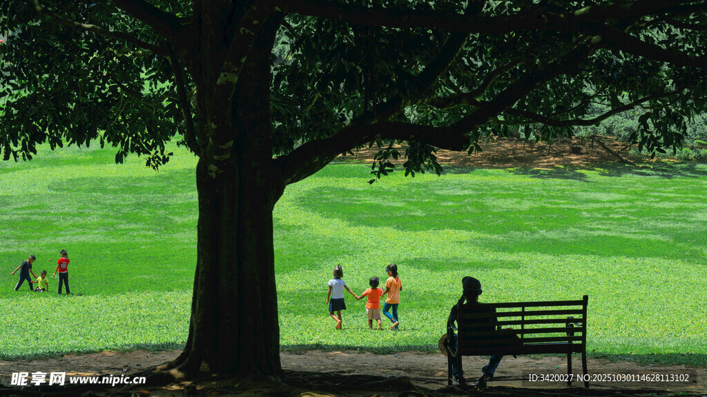 公园长椅上的悠闲时光