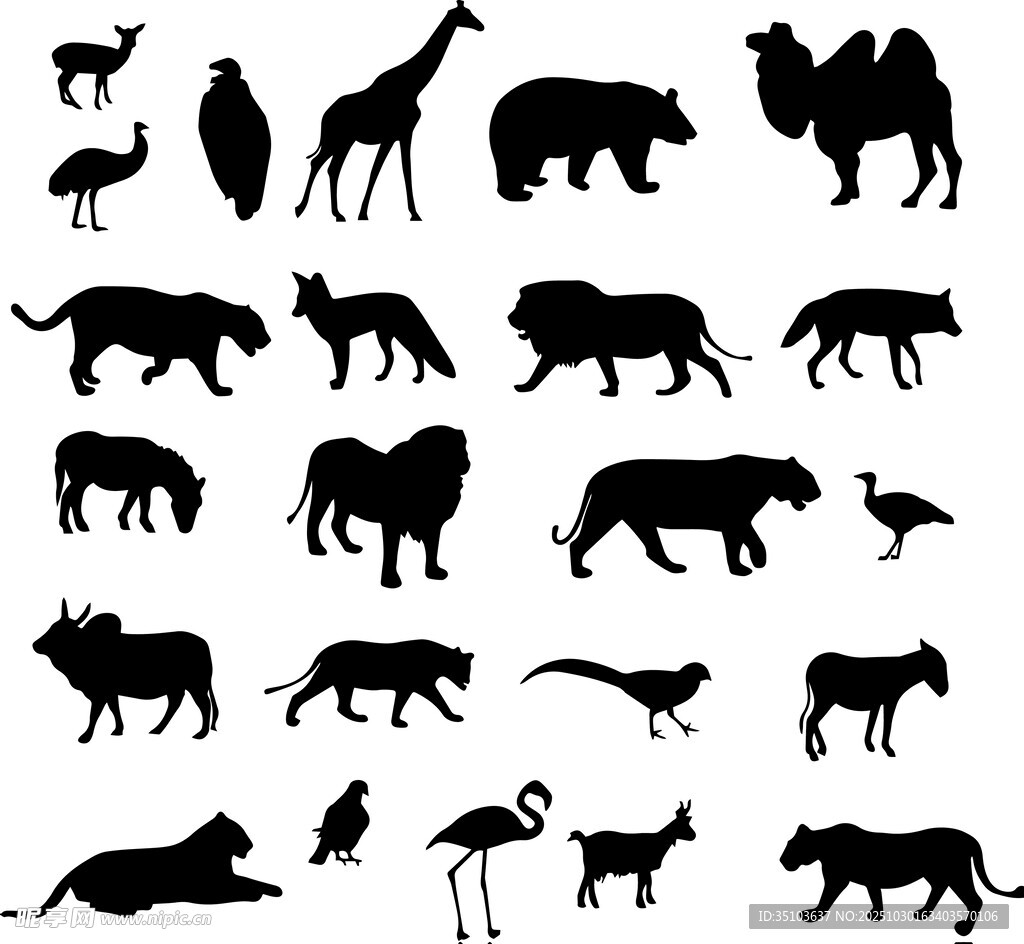 多样野生动物剪影集合