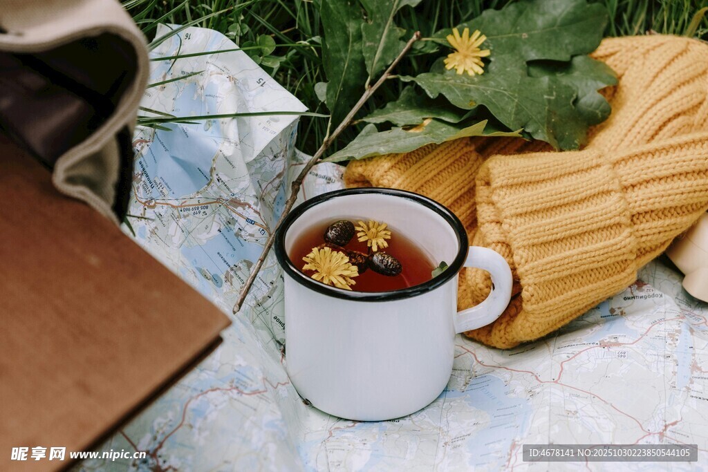 秋日温馨茶饮与绿植相伴