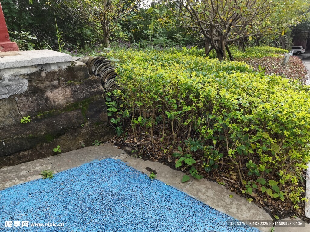 户外蓝色地面与绿植景观