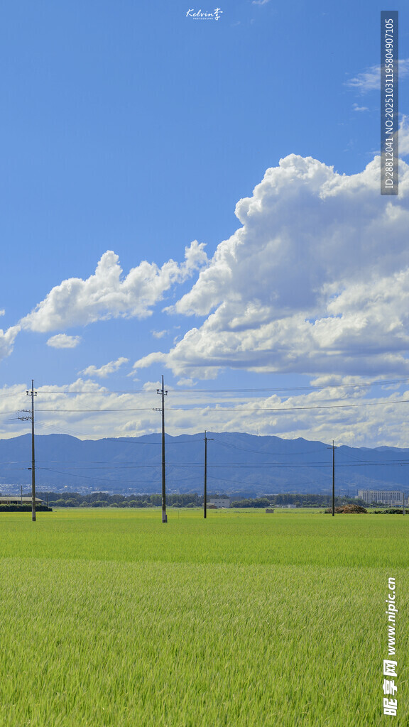 广阔绿野与远方输电线路
