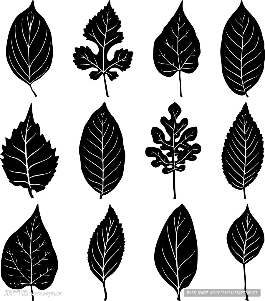 多样树叶剪影图案