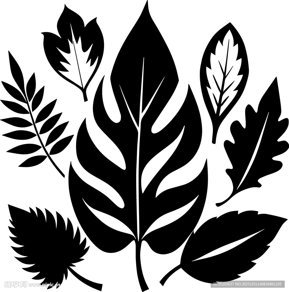 黑白叶片剪影图案