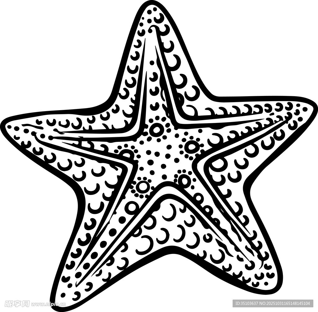 手绘海星图案