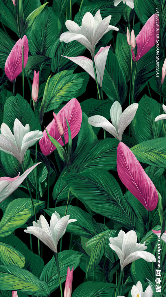 盛开的白掌与绿叶景观