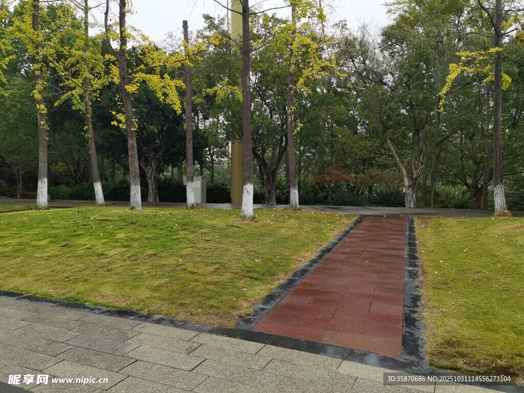 城市林荫下的红砖小径
