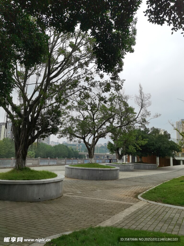 公园内的树木与步道景观