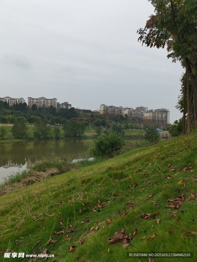 河畔绿草如茵的自然景致