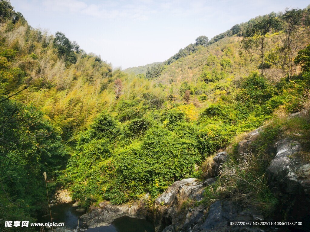 山间绿意盎然的自然景致