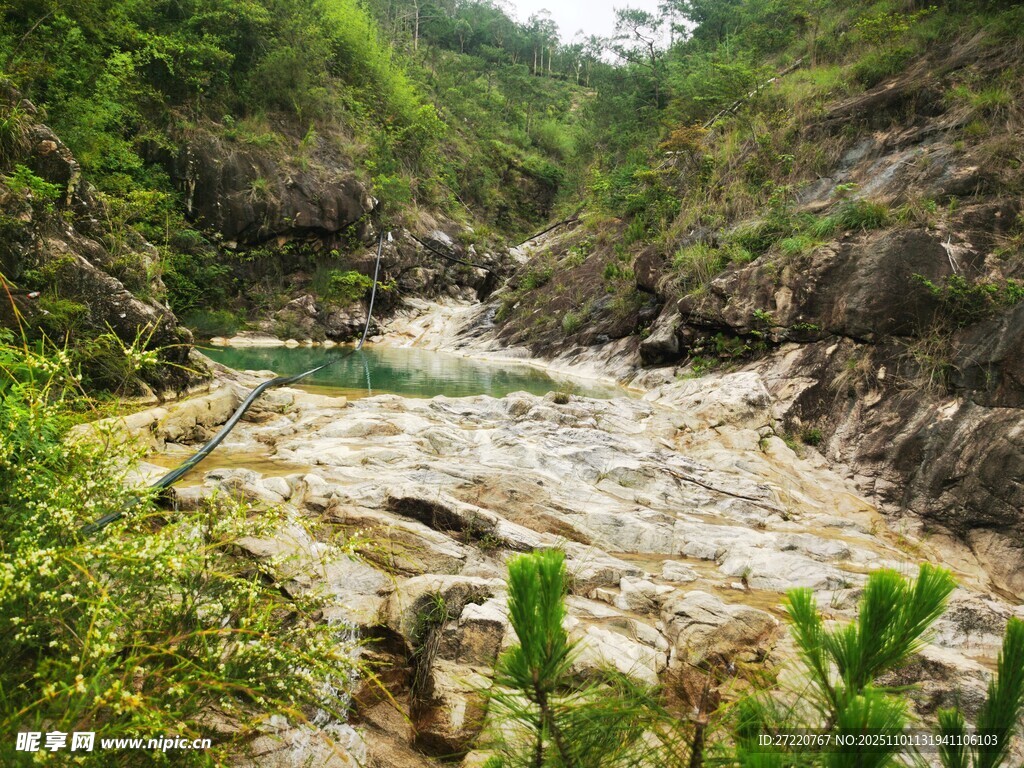 山间溪流 绿意盎然的河谷