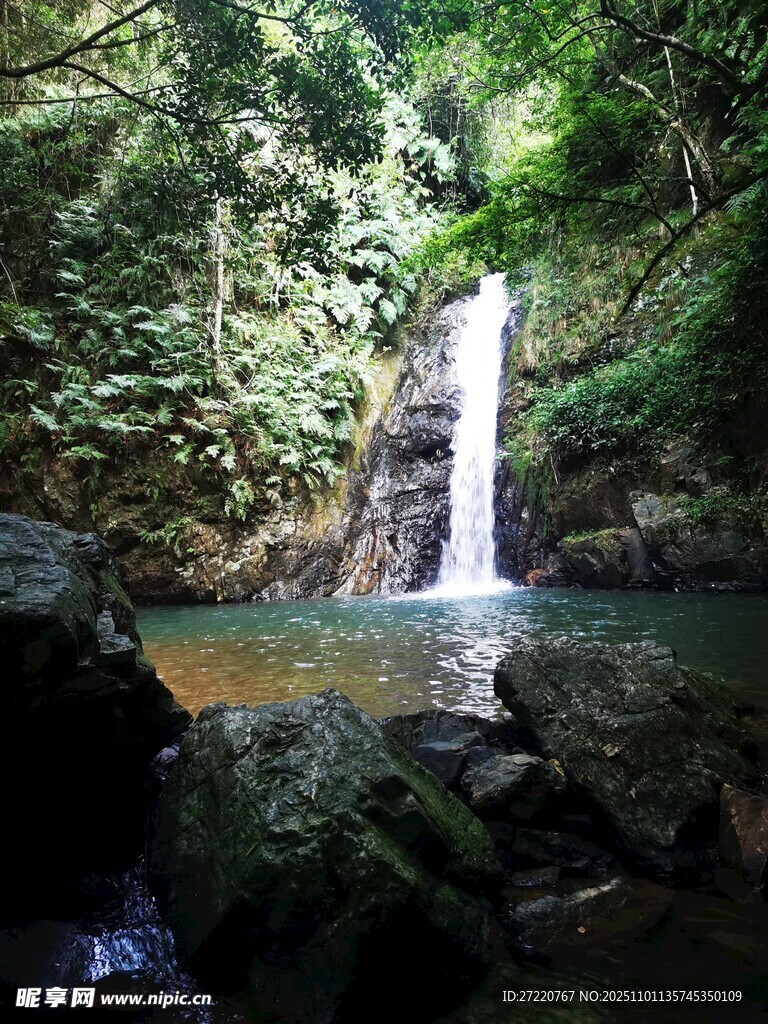 雨林中的美丽瀑布景观
