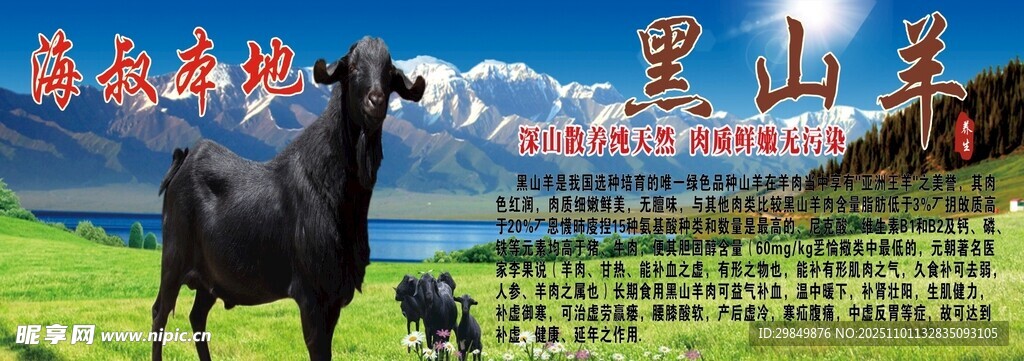 草原上的黑山羊