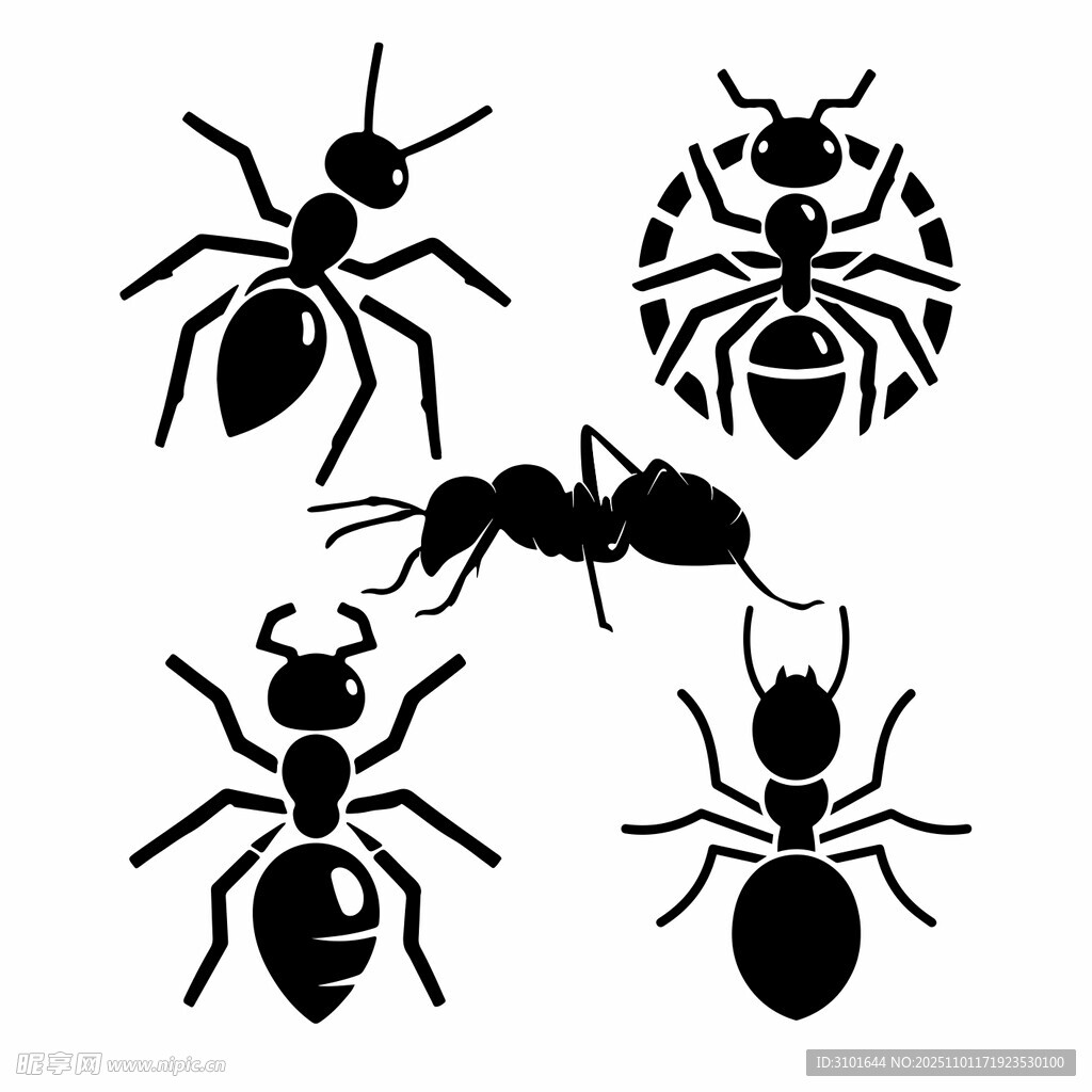 蚂蚁图案