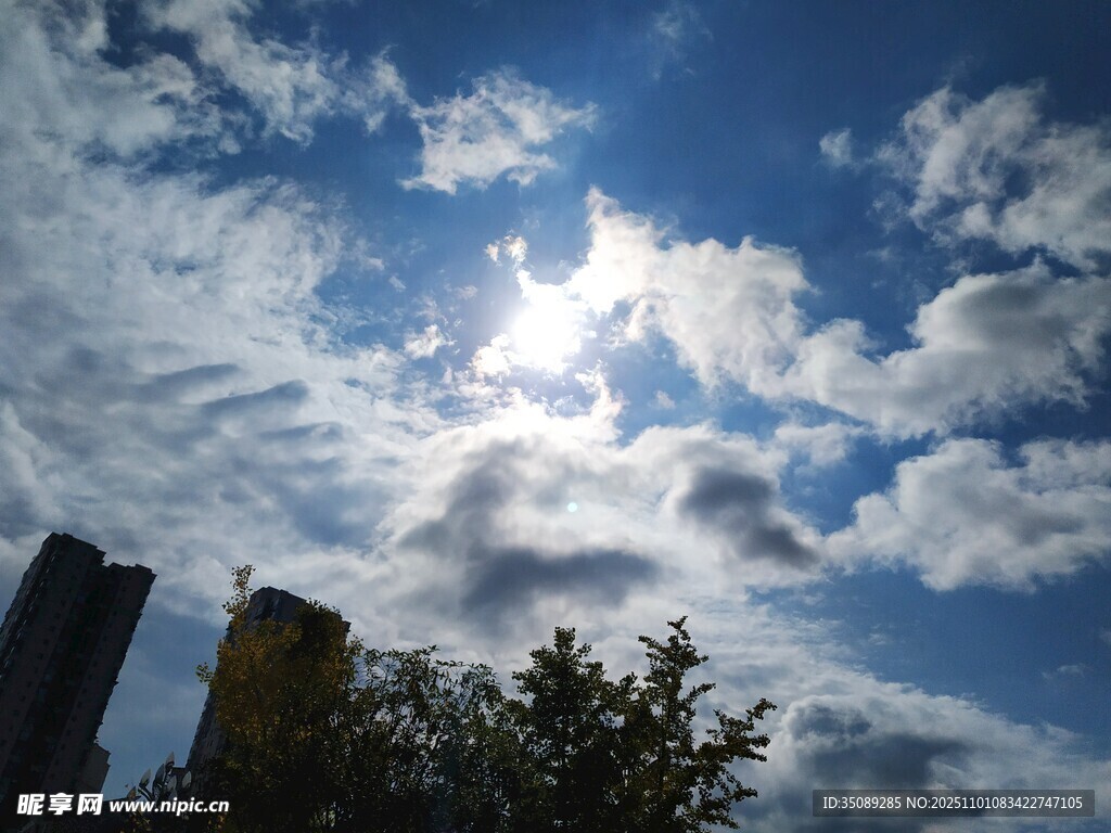 蓝天白云下的城市与树木