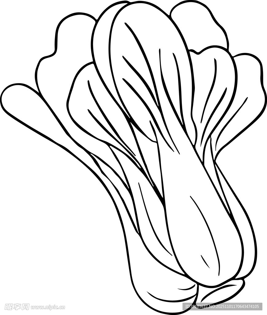 简笔勾勒的白菜形象