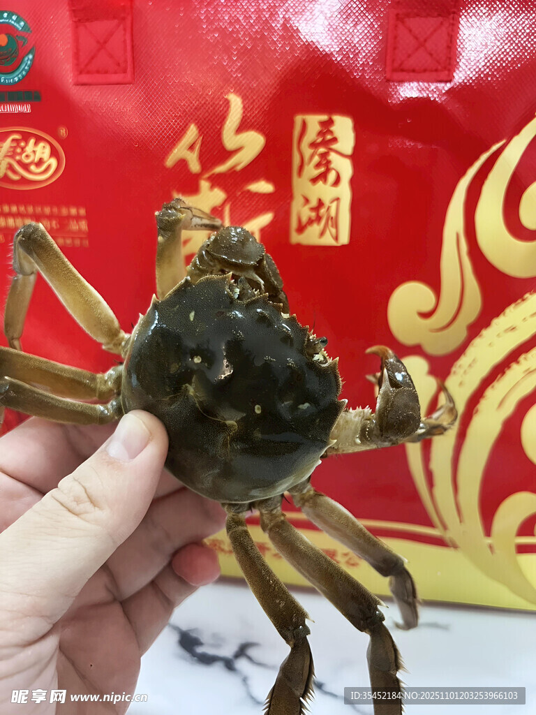 大闸蟹