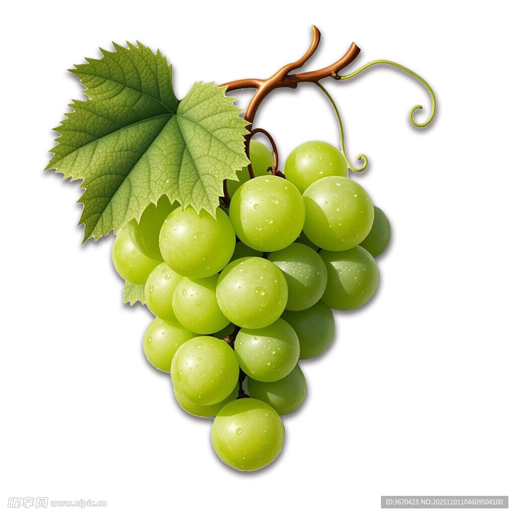 绿葡萄