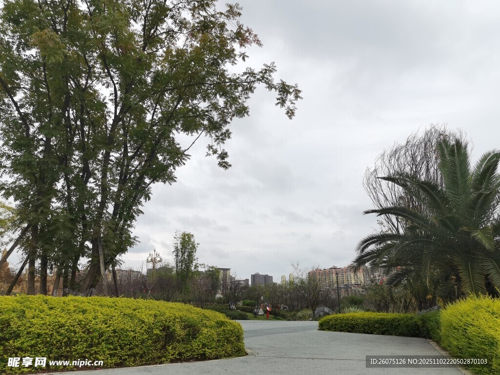 园林小径绿植环绕景致美