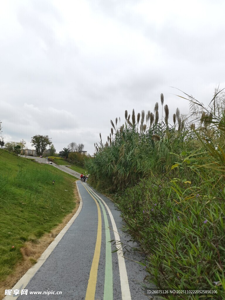 蜿蜒乡间骑行小路