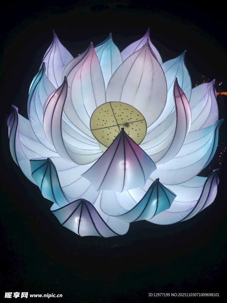 梦幻莲花图案设计