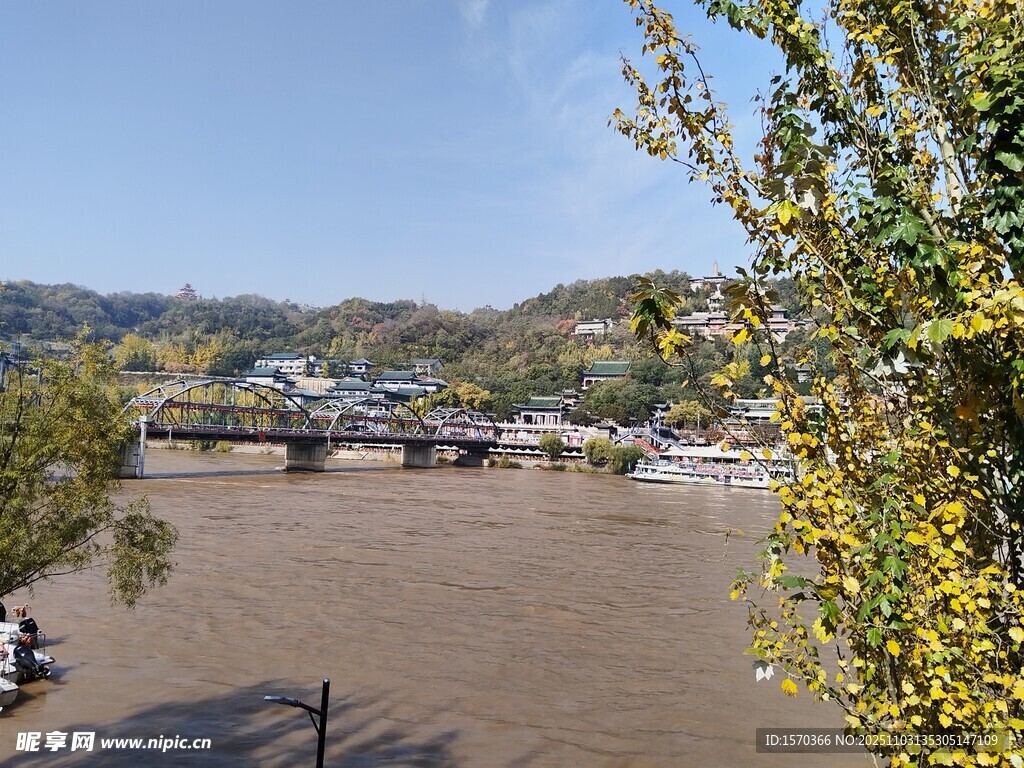 黄河边风景 绿树繁花映江水