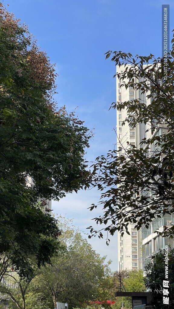 绿树环绕中的高楼景观